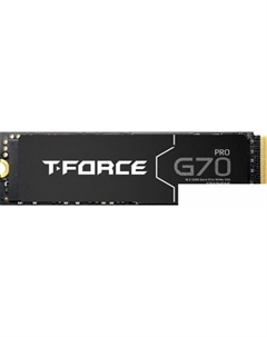 SSD T-Force G70 Pro 1TB TM8FFH001T0C128 Team