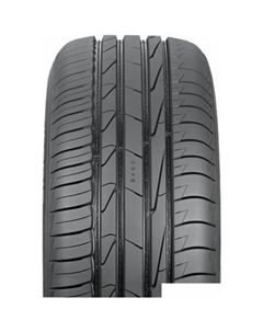 Автомобильные шины Autograph Aqua 3 SUV 215/70R16 100H Ikon tyres