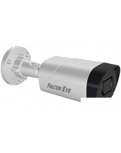 IP-камера FE-IPC-BV5-50pa Falcon eye