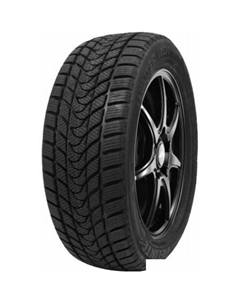 Зимние шины Winter WD1 235/45R18 98H Delinte