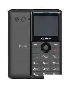 Кнопочный телефон Xenium X700 (черный)