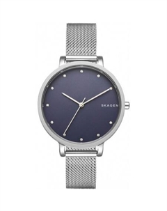 Наручные часы SKW2582 Skagen