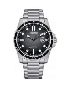 Наручные часы AW1816-89E Citizen