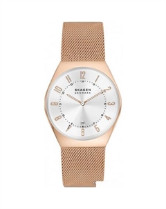 Наручные часы Grenen SKW6818 Skagen