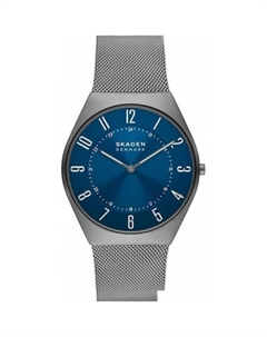 Наручные часы Grenen SKW6829 Skagen