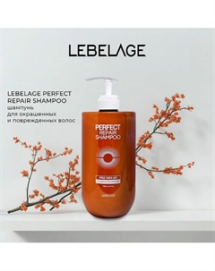 Шампунь для волос PERFECT REPAIR SHAMPOO Lebelage