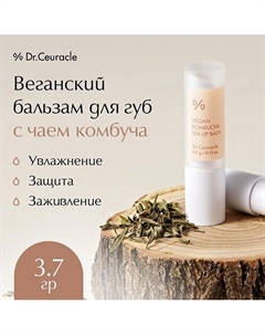 Веганский бальзам для губ с чаем комбуча Vegan Kombucha Tea Lip Balm Dr. ceuracle