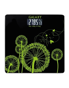 GALAXY Весы напольные электронные, GL 4802 Galaxy