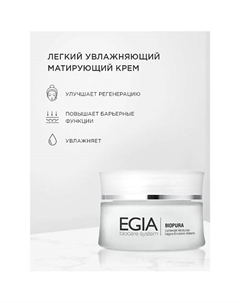 Крем легкий увлажняющий матирующий Lightweight Moisturizer 50.0 Egia