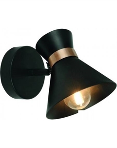 Точечный светильник Baltimore A1406AP-1BK Arte lamp