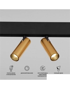 Точечный светильник Slim Magnetic Dim Dual 85056/01 (латунь) Elektrostandard