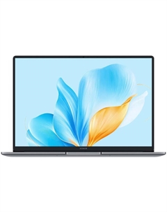 Ноутбук Honor MagicBook X14 2025 GDG-X (5301ALWY)