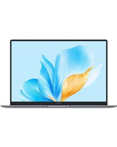 Ноутбук HONOR MagicBook X16 2025 BRG-561 (5301ALWL) Honor